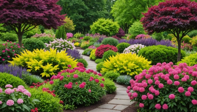 arbustes à fleurs pour le jardin