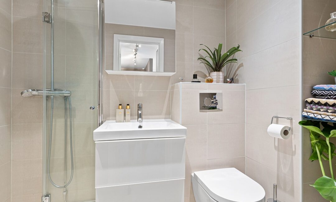 Choisir_la_Bonne_Taille_de_Toilette_Pour_Votre_Maison_:_Nos_Conseils_Pratiques